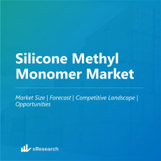 Silicone Methyl Monomer Market